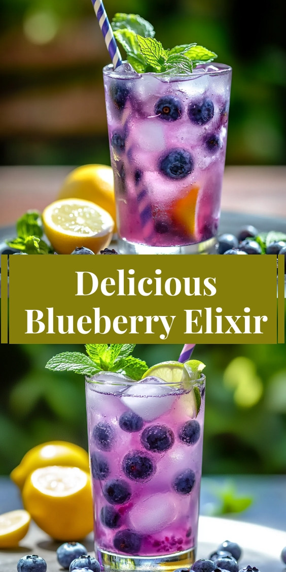 Delicious Blueberry Elixir 7 delicious-blueberry-elixir.webp